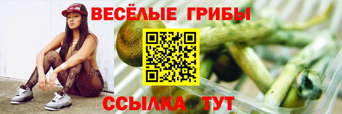 Галлюциногенные грибы Magic Shrooms Кызыл